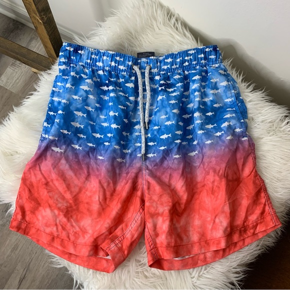 Surf Style Swim Trunks - Picture 1 of 5